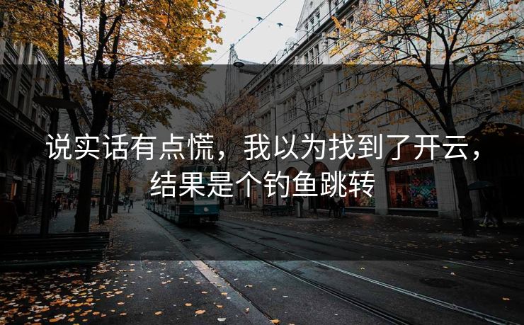说实话有点慌，我以为找到了开云，结果是个钓鱼跳转