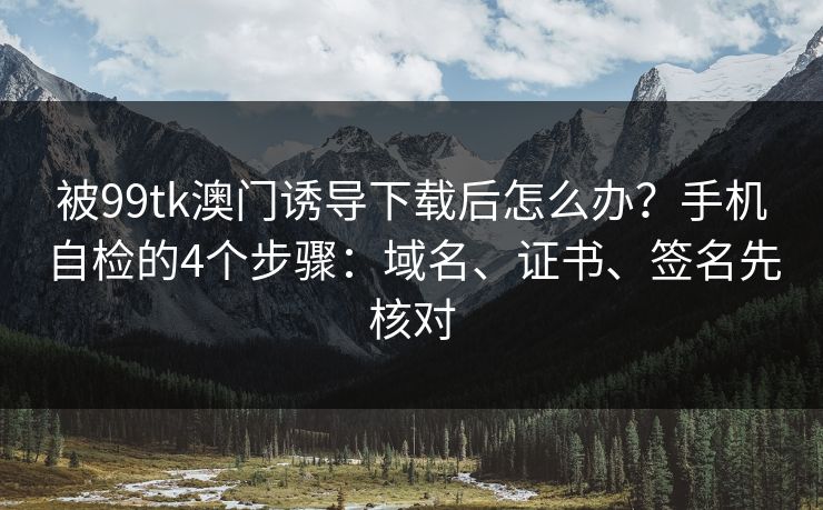 被99tk澳门诱导下载后怎么办？手机自检的4个步骤：域名、证书、签名先核对