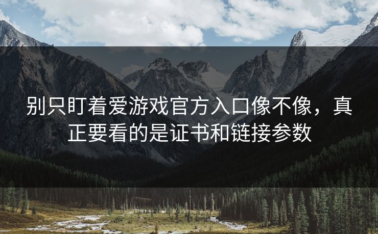 别只盯着爱游戏官方入口像不像，真正要看的是证书和链接参数
